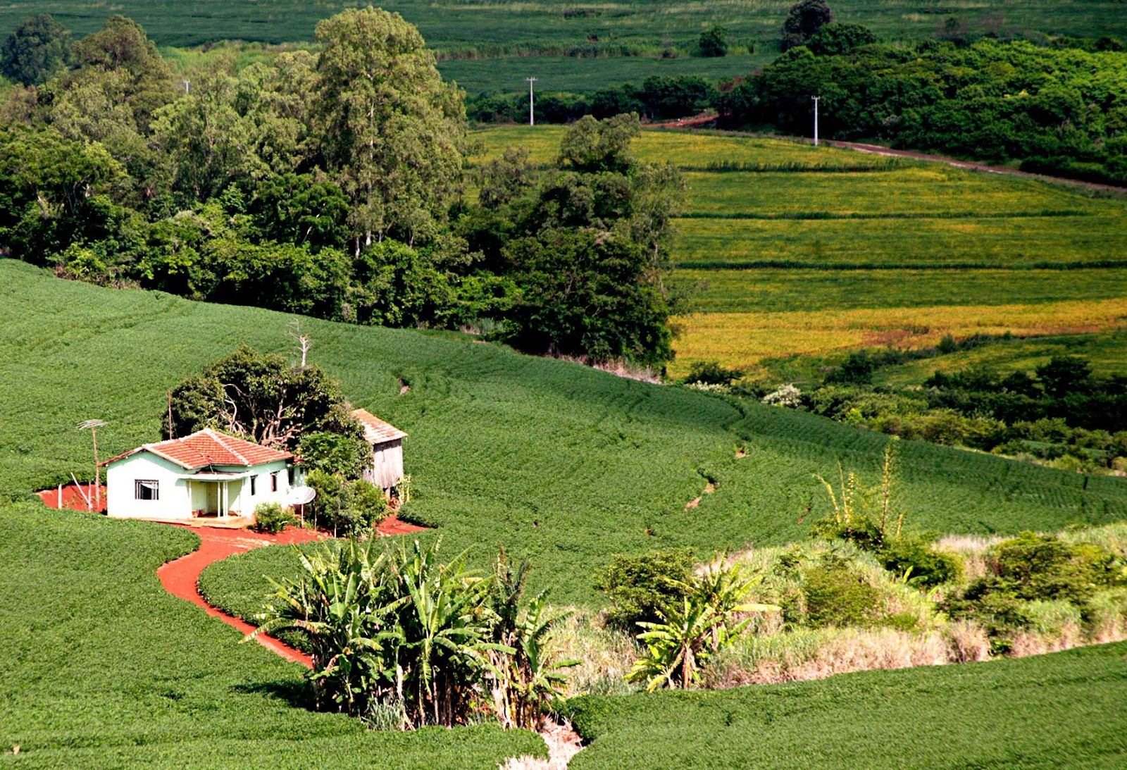 Regularização de Imóvel Rural